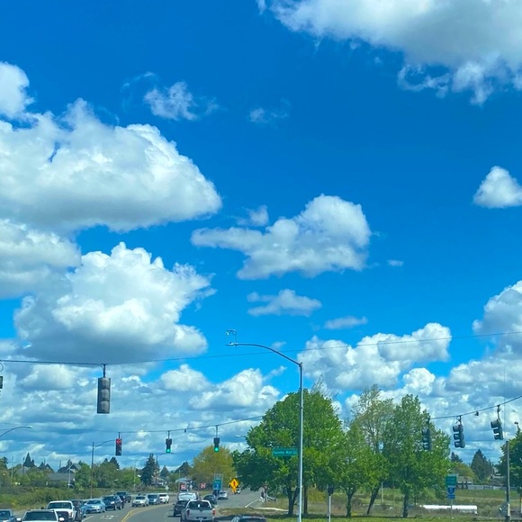 fLEA :-) Listing Flea - Picture 16 of 16